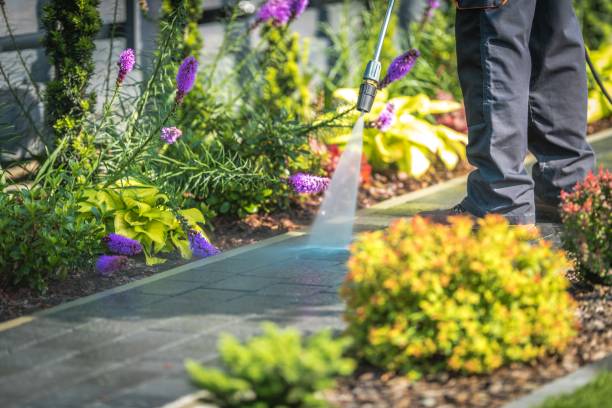 Best Spring Cleaning  in Wardsville, MO